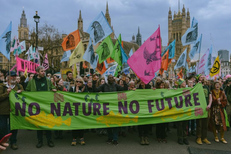 Restore Nature Now: The Essential Role of Protest in Nature Restoration & Conservation