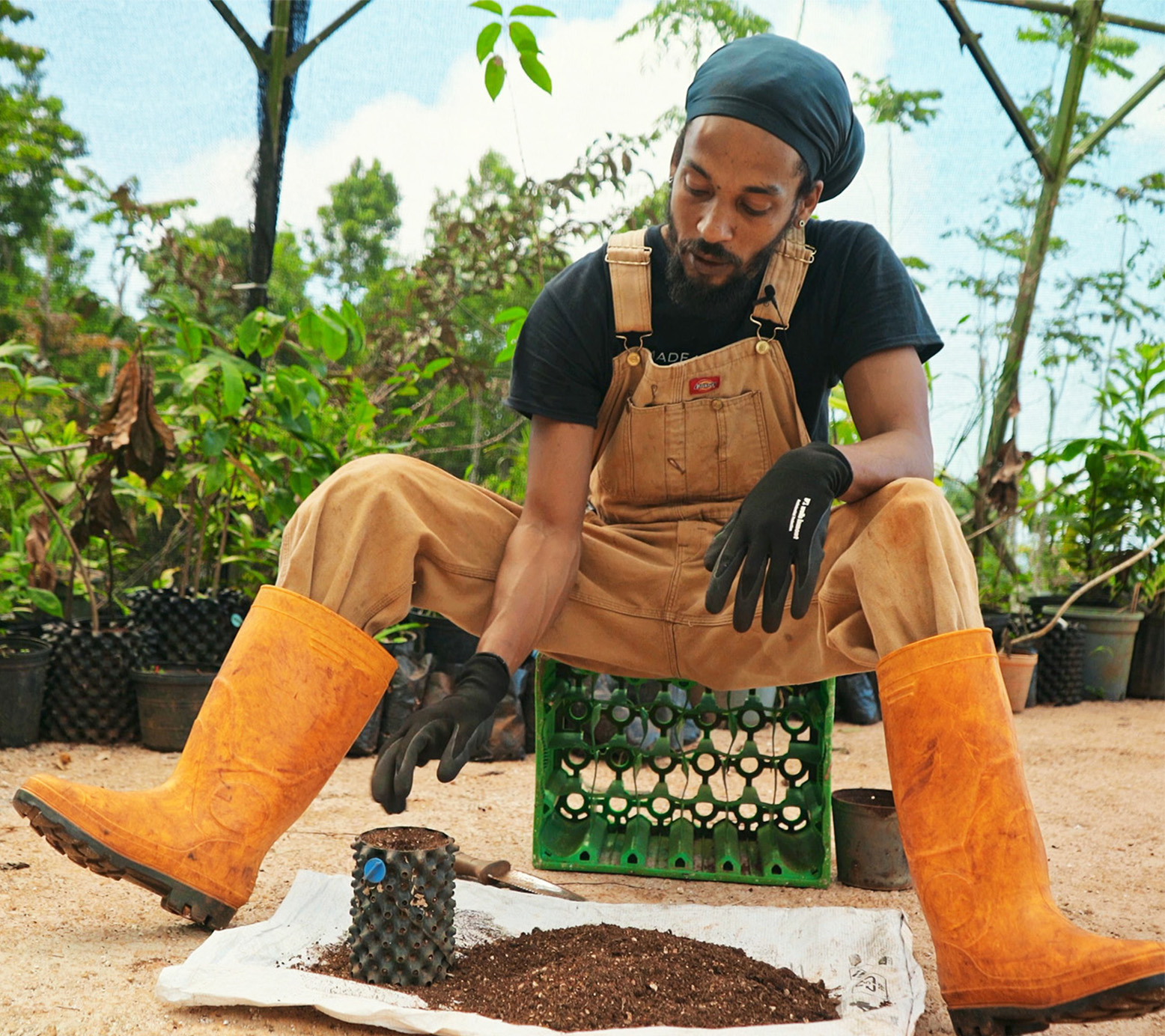 Sidney grows food for his local community by practicing syntropic agriculture