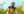 Syntropic Farming with Sidney Etienne