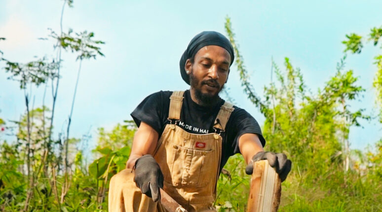 Syntropic Farming with Sidney Etienne