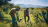 Three things you need to know about planting trees
