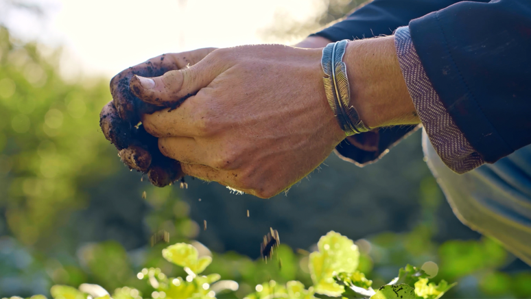 The soil food web: why healthy soil means healthy people