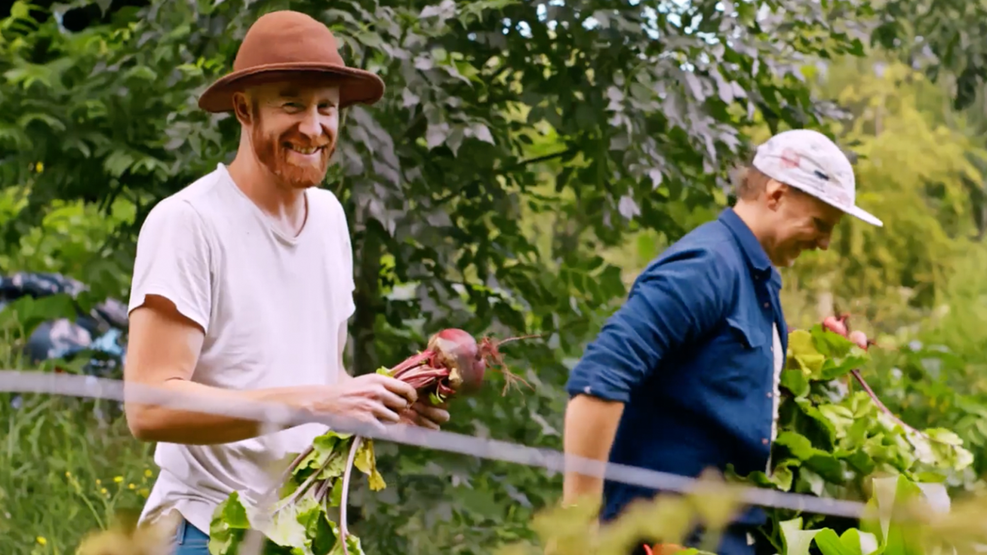 Our Top Learning Tips for the Best Earthed Experience.