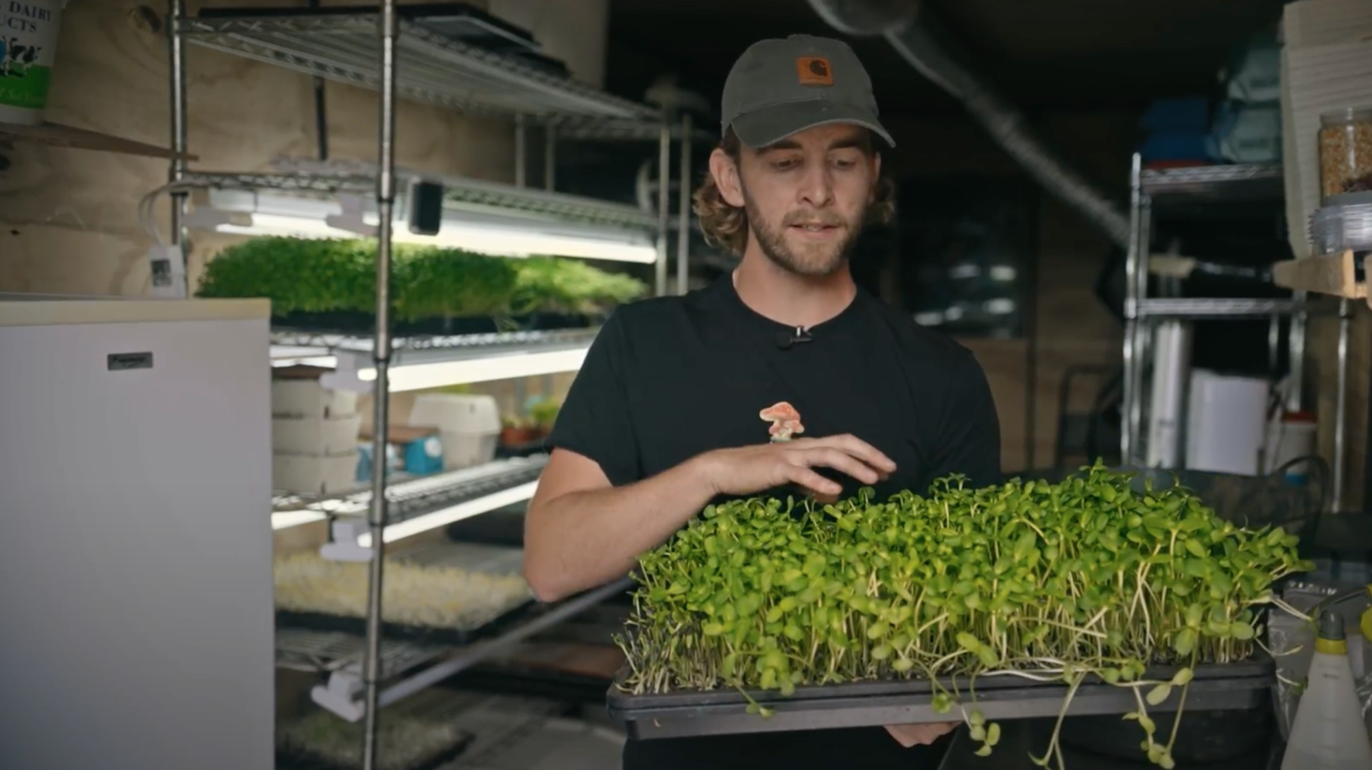 Mushrooms & Microgreens with Jack Hodgson