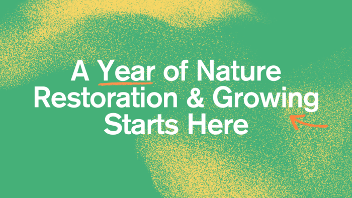 A year of nature restoration and growing starts here.