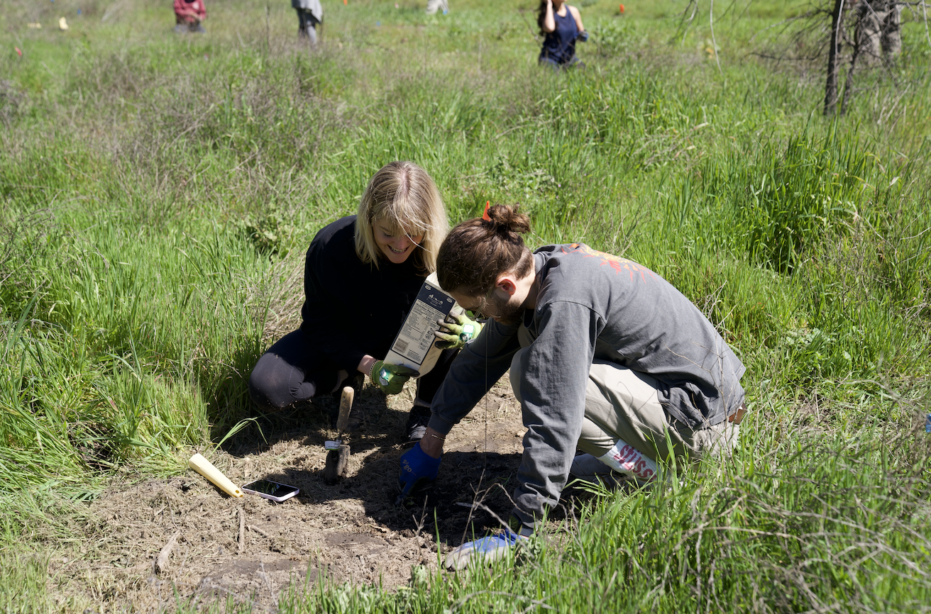 This month, our Earthed Community participated in rewilding Cheeseboro Canyon in collaboration with the Santa Monica Mountain Fund. We planted 200 Valley oak trees in a region impacted by the Wolsey fire. Each of these saplings has the potential to thrive for up to 600 years.