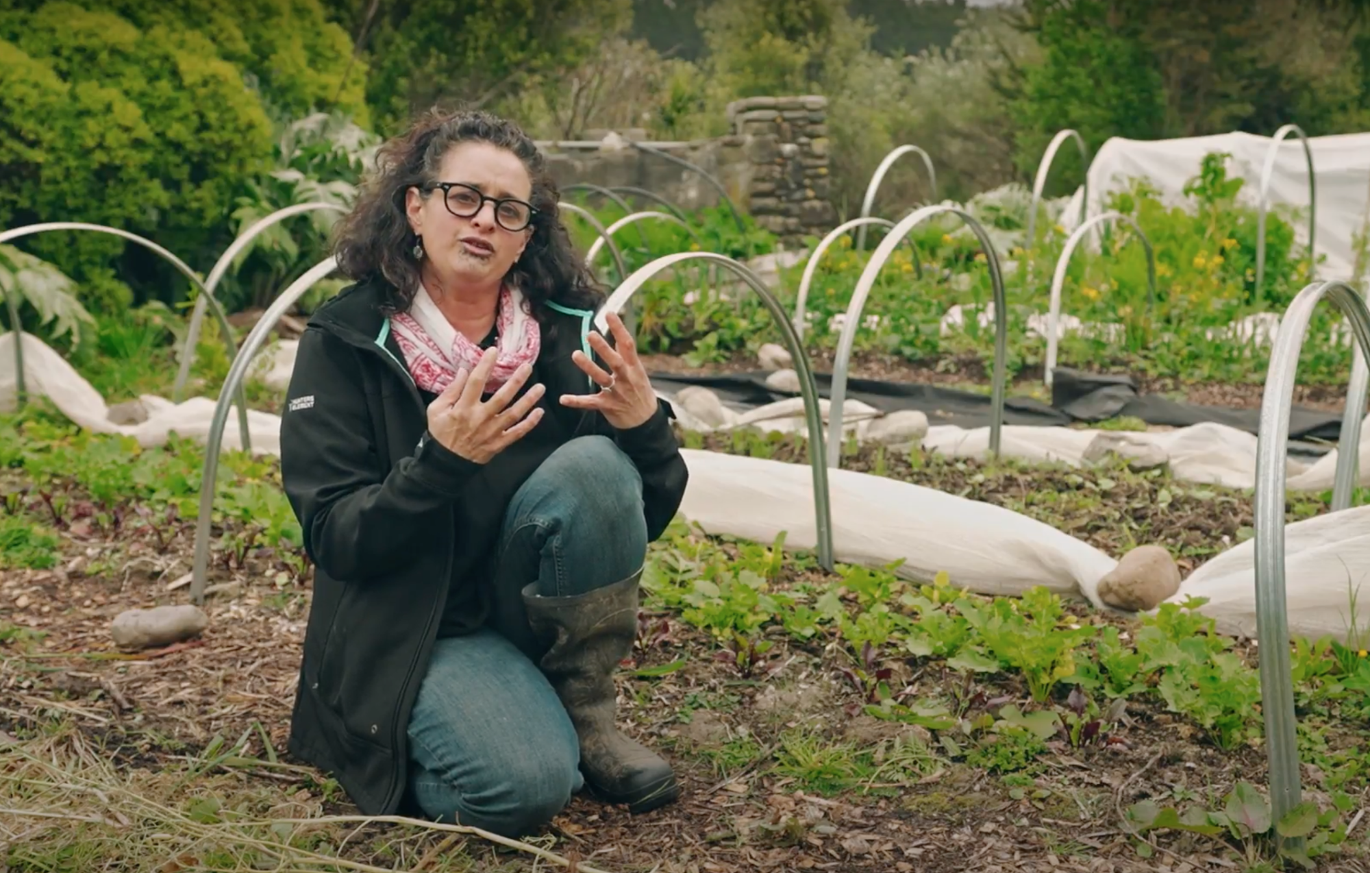 Ecosystem Restoration: Three Pathways to Bring Nature Back