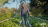 Image of Manisha Lath Gupta in her Garden