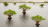 Earthed in partnership with the UN Decade on Ecosystem Restoration